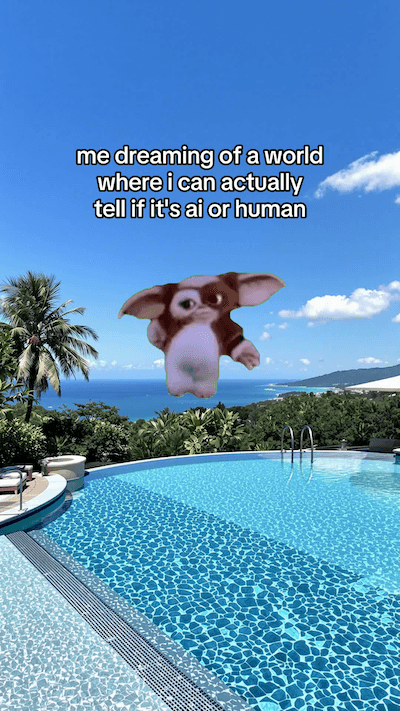 Please wait for video to load